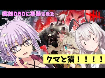【DbD】突如実装されたクマと猫!!ニャイト・オブ・ザ・リビングキャットコラボでゆかりさんが無双する回　残忍なゆかりpart214 【VOICEROID実況/デッドバイデイライトキラー】
