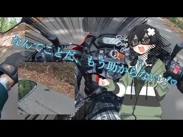 おとしちゃった