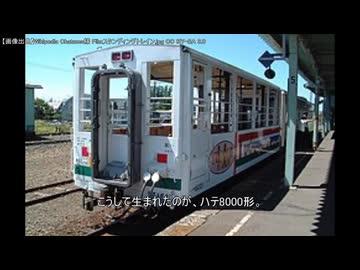 【迷列車で行こう】～定員0名の展望客車～　ハテ8000形【JR北海道】