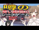これが噂のレースゲームですか？