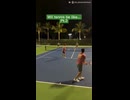 マリオテニス再現