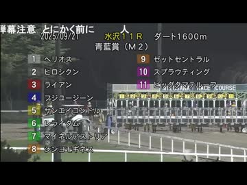 【リアルダビスタ】2025年9月21日 レライタム 20戦目　第33回青藍賞(重賞　M2)