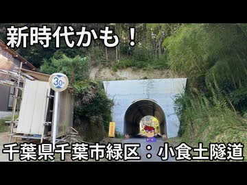 ﾔｻｼﾄﾞｽﾞｲﾄﾞｳ、なんもわからん編。【バーチャルいいゲーマー佳作選】