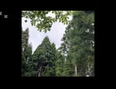 愛は真実の力(Love is truth power )愛と光あれ！