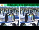 【！脳トレ+育脳に最適☆まちがい探しタイム！ 】＃316