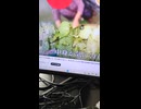 DQN客を格安スーパーで張り込み調査！剥きキャベツオバタリアン！ポリ袋窃盗犯！タイムサービス割り込み犯が逆ギレ！屑のオンパレード②