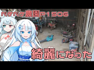 2025年10月7日　農作業日誌P1506　昨日の続きから始まるナイロン草刈り作業