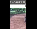 ASMR