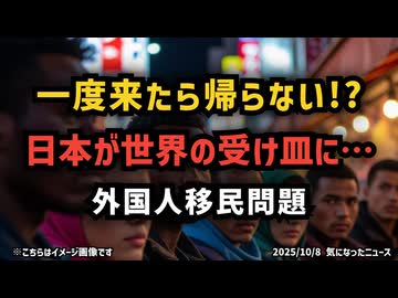 ◆日本に“問題児外国人”が増える理由 ～ 制度の緩さが招く現実とは
