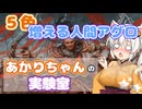 【MTGA】あかりちゃんの実験室 -運命を笑う者、アリーシャ-【パイオニア】