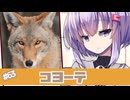 ひとくち動物図鑑#63　コヨーテ　[VOICEROID解説]