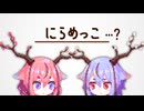ヒメミコの疑問 ～にらめっこ編～