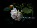 [TRANCE] Mixed by aki 2025/10/09《FREE ONLY》