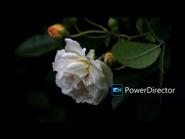 [TRANCE] Mixed by aki 2025/10/09《FREE ONLY》