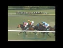 2008 府中牝馬ステークス(GIII)　ブルーメンブラット