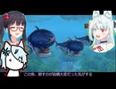 コトエたちのスカウォ日記　71日目　オトダマ集めと森の探索