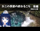 カニの季節の終わるころ　後編