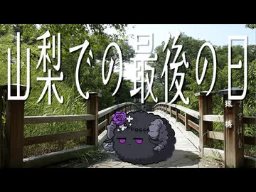 山梨での最終日は橋と海と東屋【ボロボロ日本語で日本旅行2025夏#08】