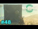 【ゆっくり実況】ティアキンぜんぶやる #48