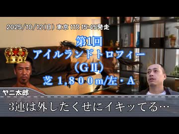 お前を、プラス収支へ誘う…！！.mp85（アイルランドT）