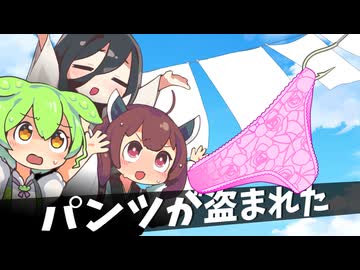 パンツが盗まれた【ソフトウェアトーク劇場】