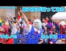 【東大生が】チルノのパーフェクトさんすう教室【踊ってみた】