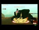 ⌘プレイアーカイブ⌘ ハイラル無双 その24