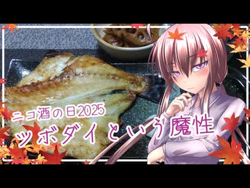 ツボダイという魔性『ニコ酒の日２０２５』