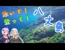 【離島旅行祭2025】泳いで登って八丈島！-八丈富士101％RTA-【夏休み旅行祭】