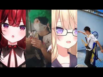 翔内