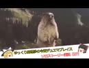 【27】ゆっくり魔理沙の今更デュエマプレイス　ソロストーリー実況