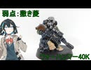 ［ウォーハンマー40K］諸事情あってスカルフェイス［ミニチュア塗装］