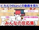 「【驚安の殿堂】ヒカルがドン・キホーテに初潜入して爆買いしたら一体どうなるのか？」を見たみんなの反応