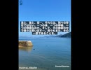 ホモと見る大物容疑者　海と空と島