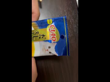猫の餌食べた