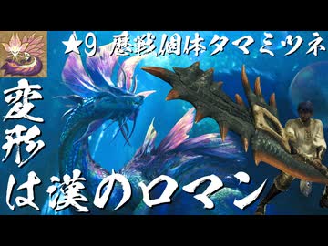 【ゆっくり実況】変形は漢のロマン ～ ★9歴戦個体タマミツネ ～【MHWilds】