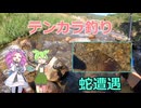 【ずんだもん】テンカラ釣りをやってみると【キャバアマゴ】
