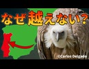 ハゲワシがポルトガルの国境を越えられない理由【解説動画】