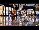 □世界の巨大ショッピングモールで踊る子猫たち□️✨