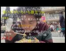 七原くん2025年10月12日 狙え外来種！カミツキガメ！！　１⑬