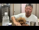 2025年10月12日09時00分　日本縦断飲んだくれの旅22日目　3/3