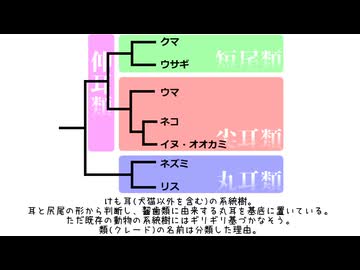 【VOICEROID解説】けも耳って何をどうやったら進化するんマジで？？？【原石祭2025】