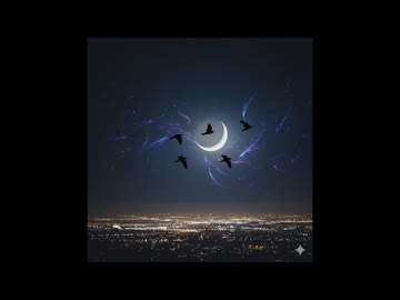 【DTM】NIGHT BIRDS (Shakatak)