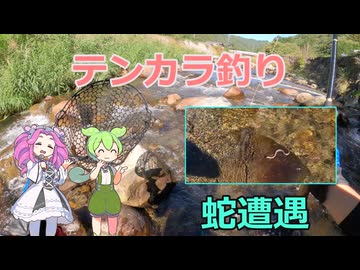 【ずんだもん】テンカラ釣りをやってみるよ【キャバアマゴ】