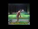 ゴルフ　世界一美しいスイング