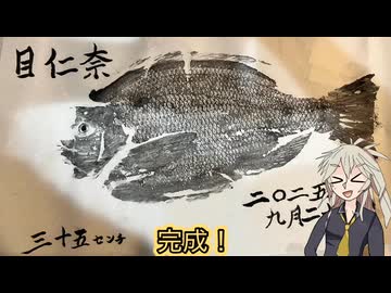 釣った魚の魚拓を取る春日部つむぎ【原石祭2025】
