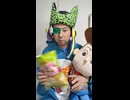 JR氷見線〔島尾駅・氷見駅（富山県・中部地方）〕の鉄道事故・人身事故・電車と人がぶつかる接触事故・列車と車と人の衝突事故・列車死亡事故・踏切や駅のホームで電車にはねられ死亡事故0祈願