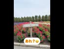 番外編　富良野ドライブ□