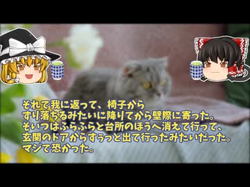 【怖い話】坂道に立つ女【ゆっくり解説】27