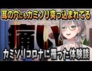 ニンバス株 カミソリコロナに罹った体験談【白銀ノエル/ホロライブ/切り抜き/ホロライブ切り抜き】